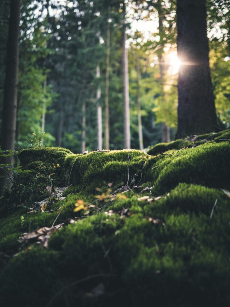 Spice Market Office Complex photo 3